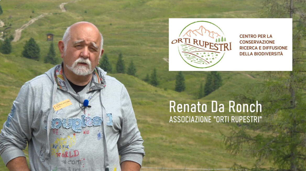 news-sito-ORTI